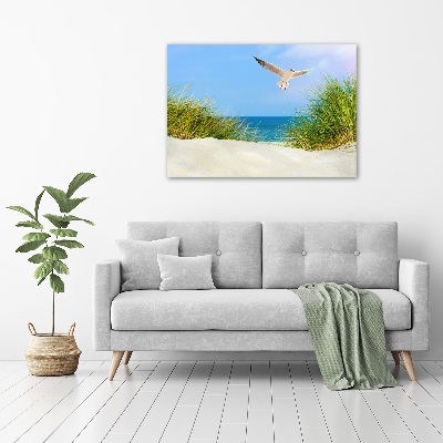 Foto obraz szkło hartowane Mewa na plaży