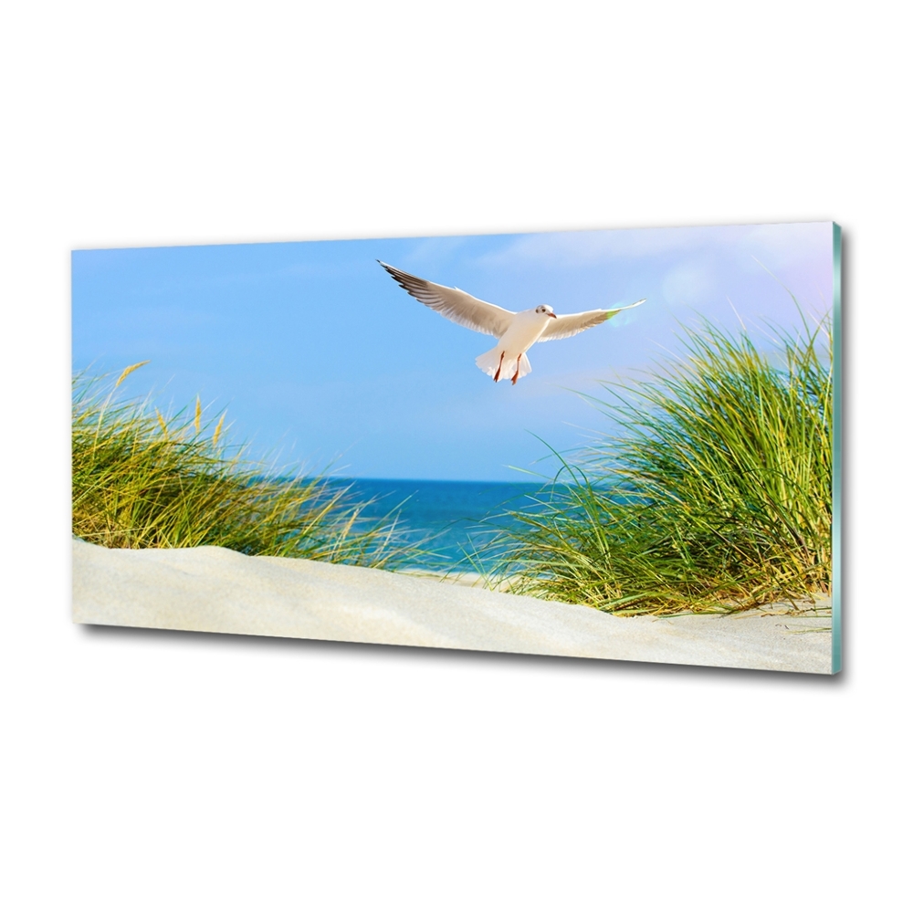 Foto obraz szkło hartowane Mewa na plaży