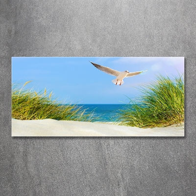 Foto obraz szkło hartowane Mewa na plaży