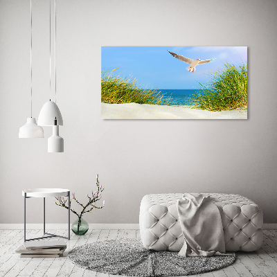 Foto obraz szkło hartowane Mewa na plaży