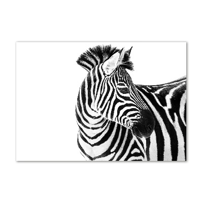 Foto-obraz szkło hartowane Zebra w śniegu