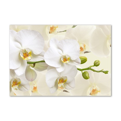 Foto obraz szkło hartowane Orchidea