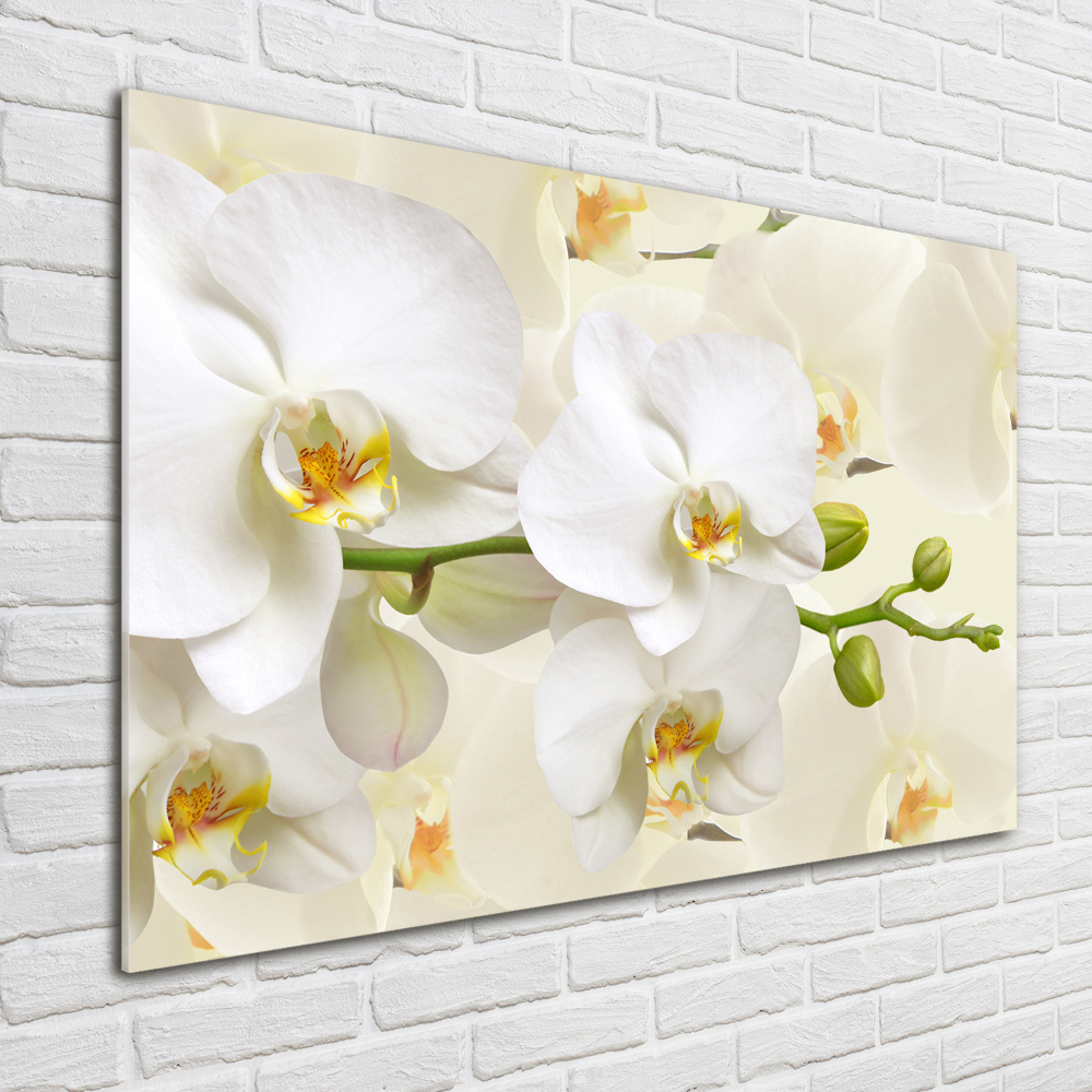Foto obraz szkło hartowane Orchidea