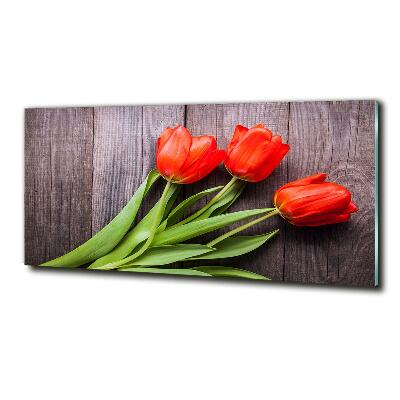 Foto obraz szklany Czerwone tulipany