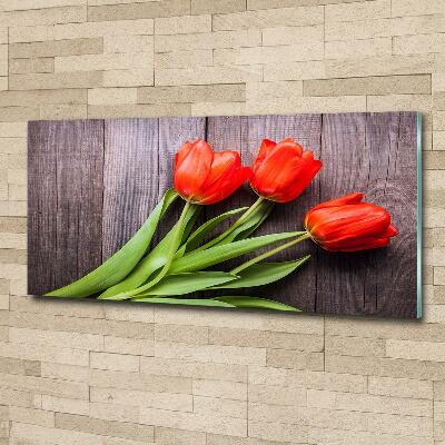 Foto obraz szklany Czerwone tulipany