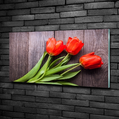Foto obraz szklany Czerwone tulipany
