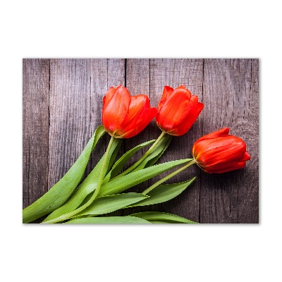 Foto obraz szklany Czerwone tulipany