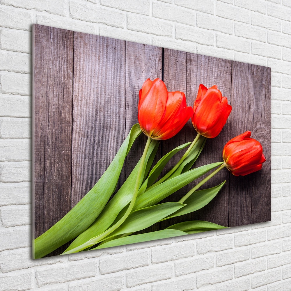 Foto obraz szklany Czerwone tulipany