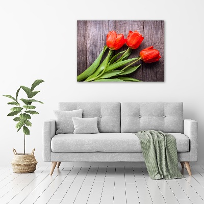 Foto obraz szklany Czerwone tulipany