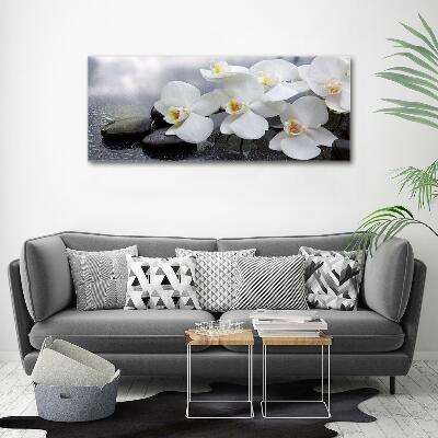 Foto obraz szkło hartowane Orchidea