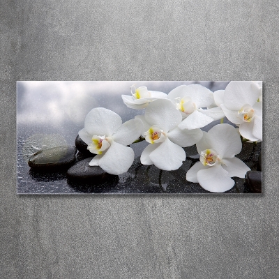 Foto obraz szkło hartowane Orchidea