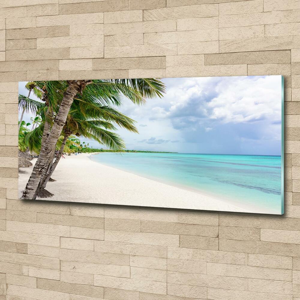 Foto obraz szklany Tropikalna plaża