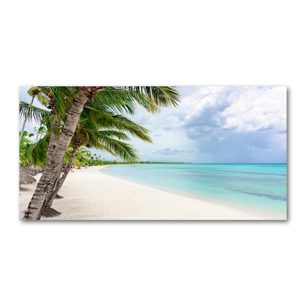 Foto obraz szklany Tropikalna plaża