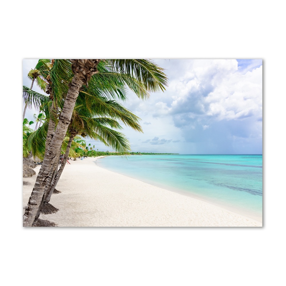 Foto obraz szklany Tropikalna plaża
