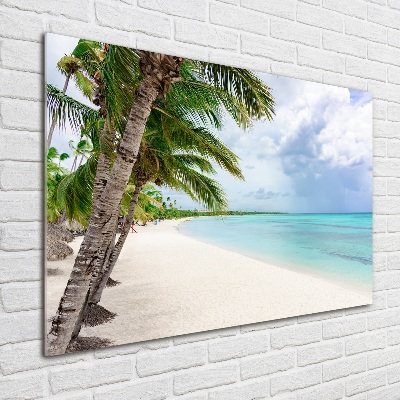 Foto obraz szklany Tropikalna plaża