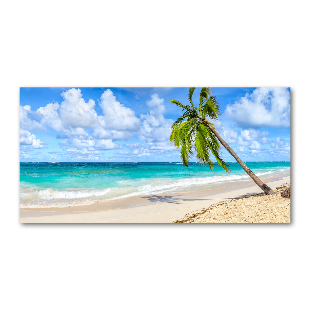 Foto obraz szklany Tropikalna plaża