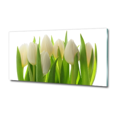 Foto obraz szkło hartowane Tulipany