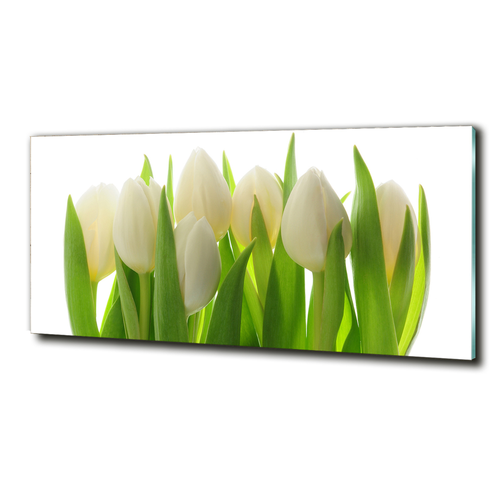 Foto obraz szkło hartowane Tulipany