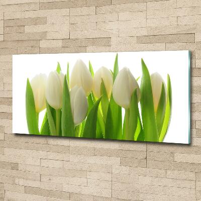 Foto obraz szkło hartowane Tulipany