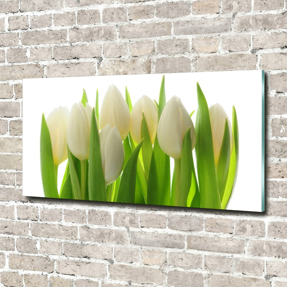 Foto obraz szkło hartowane Tulipany