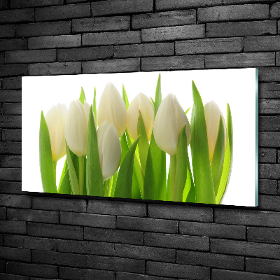 Foto obraz szkło hartowane Tulipany