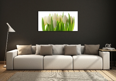 Foto obraz szkło hartowane Tulipany