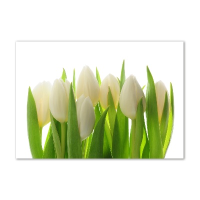 Foto obraz szkło hartowane Tulipany