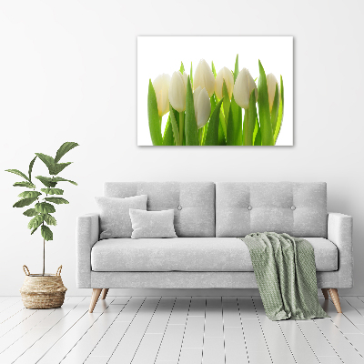 Foto obraz szkło hartowane Tulipany