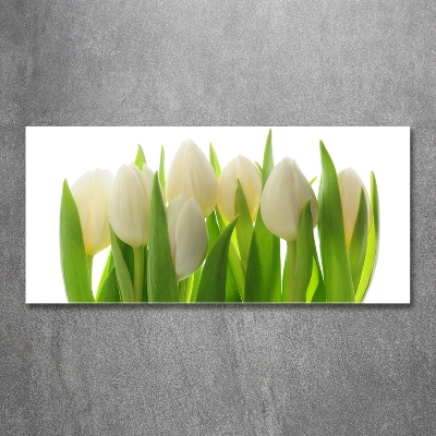 Foto obraz szkło hartowane Tulipany