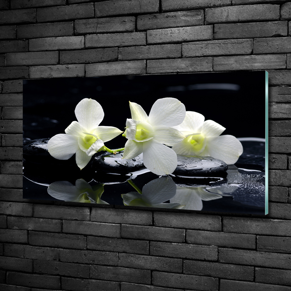 Foto obraz szkło hartowane Orchidea