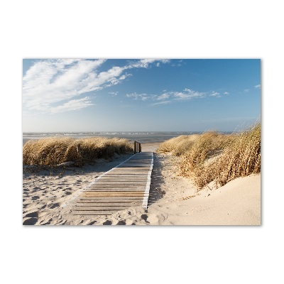 Foto obraz szklany Ścieżka na plaży