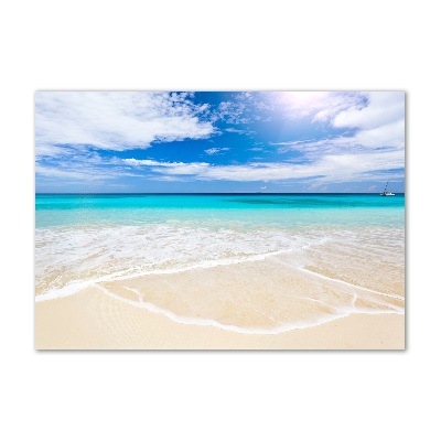 Foto obraz szklany Tropikalna plaża