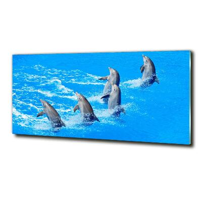 Fotoobraz na ścianę szkło hartowane Delfiny