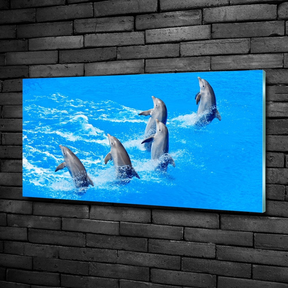 Fotoobraz na ścianę szkło hartowane Delfiny