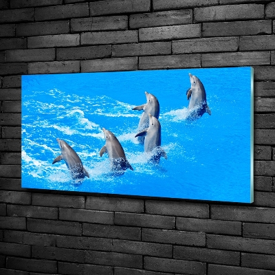 Fotoobraz na ścianę szkło hartowane Delfiny