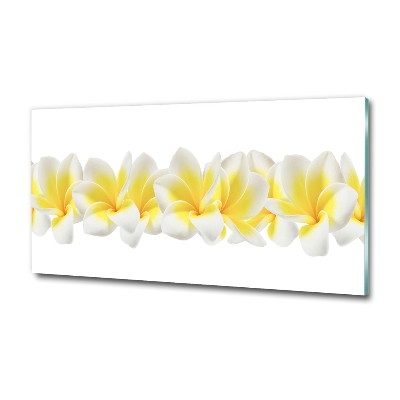 Foto obraz szkło hartowane Plumeria