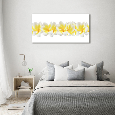 Foto obraz szkło hartowane Plumeria