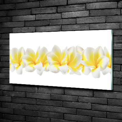 Foto obraz szkło hartowane Plumeria