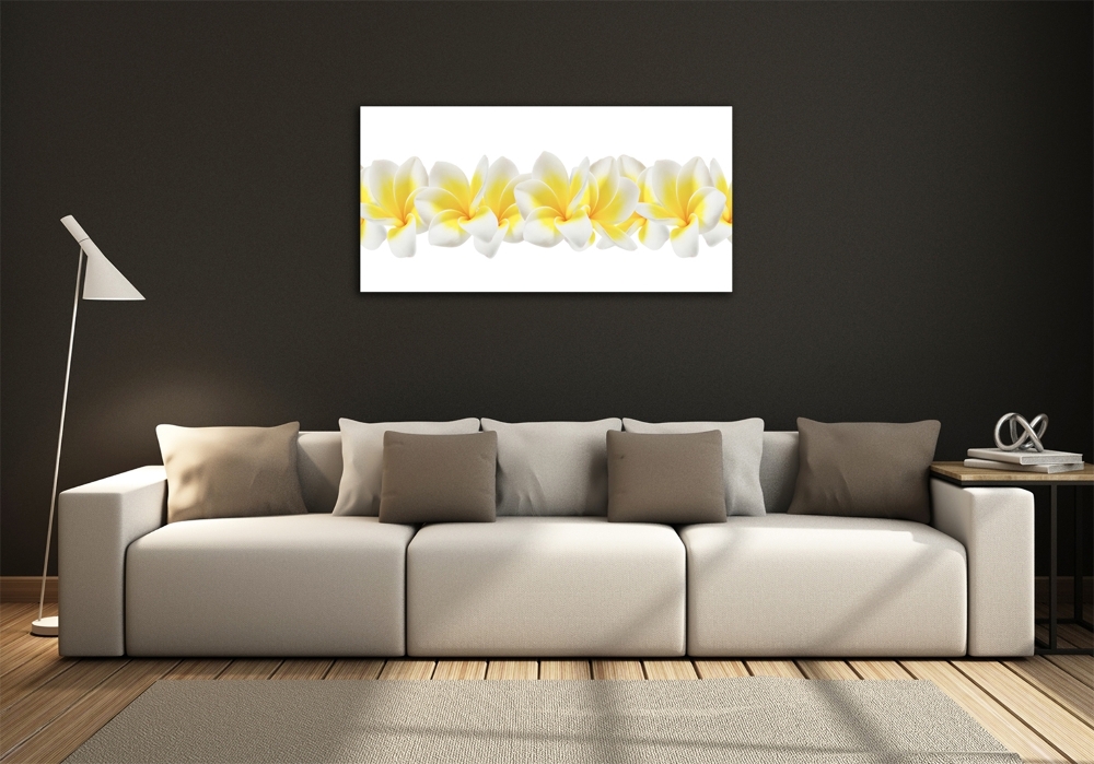 Foto obraz szkło hartowane Plumeria