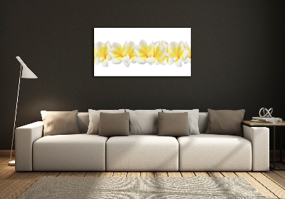 Foto obraz szkło hartowane Plumeria