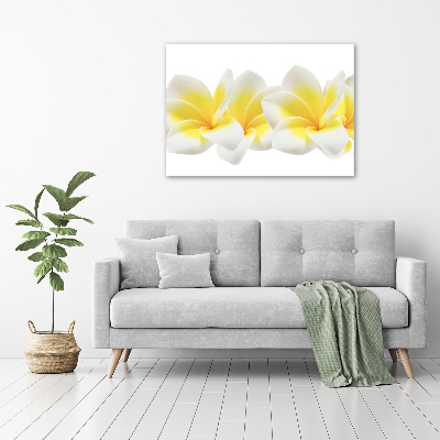 Foto obraz szkło hartowane Plumeria