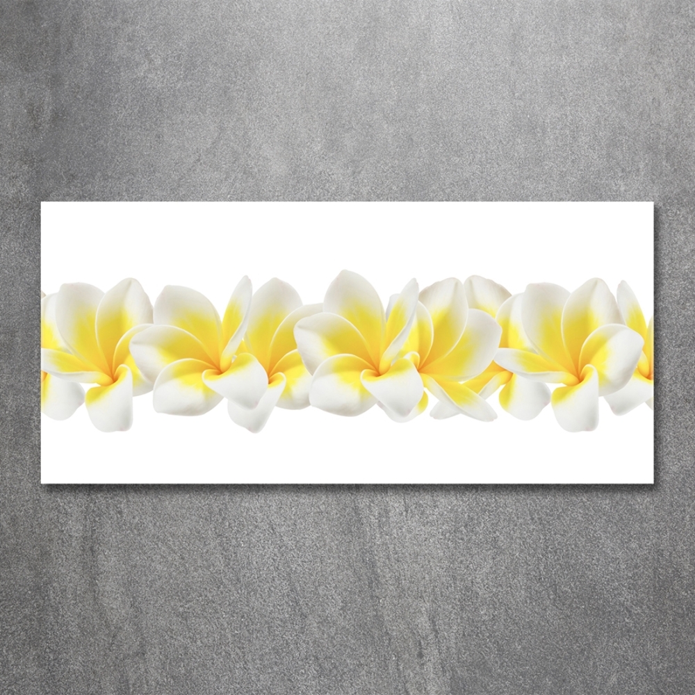 Foto obraz szkło hartowane Plumeria
