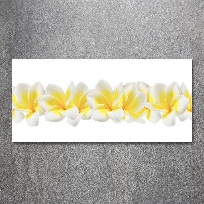 Foto obraz szkło hartowane Plumeria