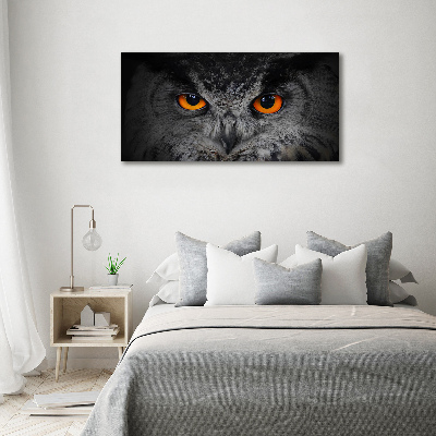 Foto-obraz szklany Diabelskie oczy sowy