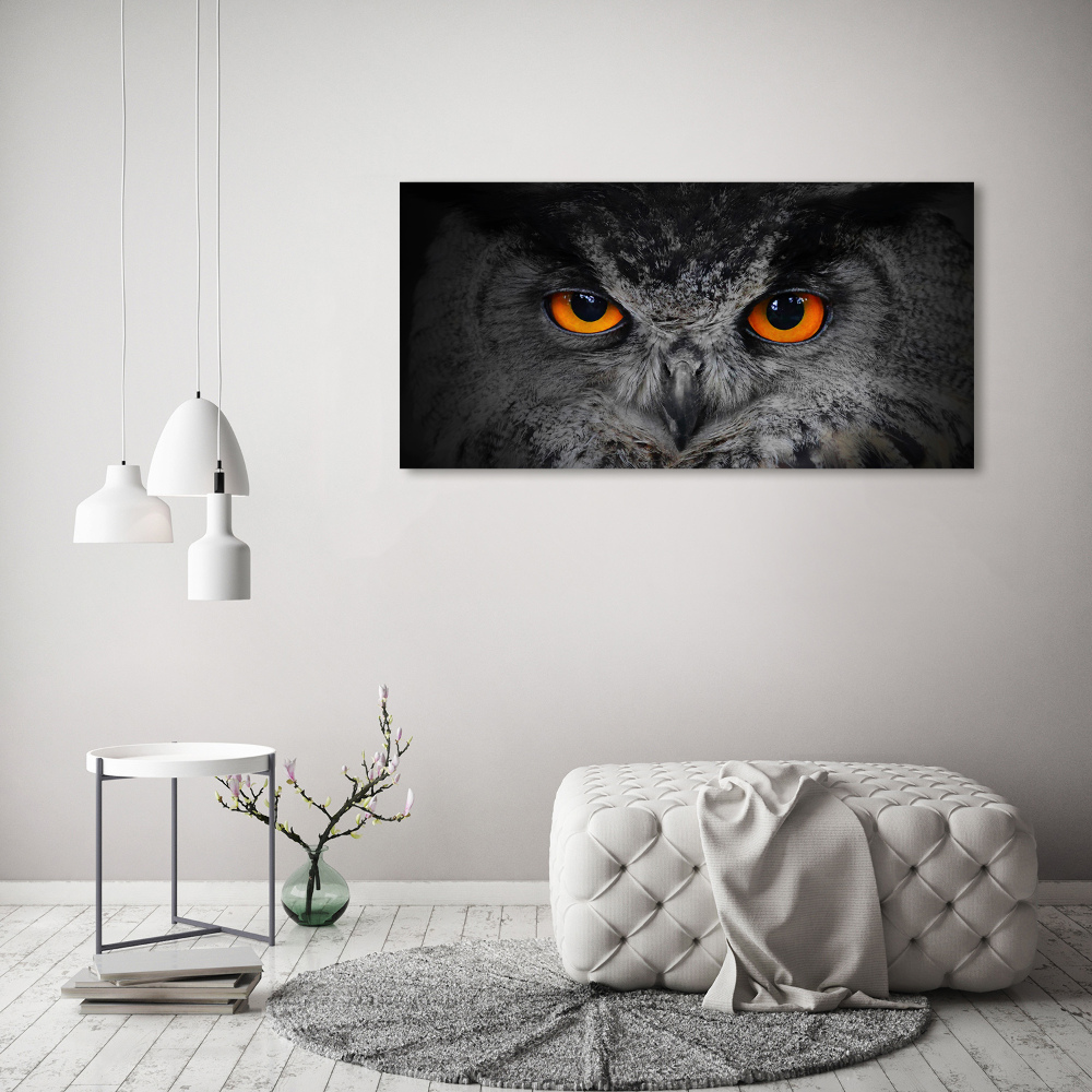 Foto-obraz szklany Diabelskie oczy sowy