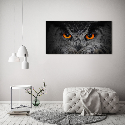 Foto-obraz szklany Diabelskie oczy sowy