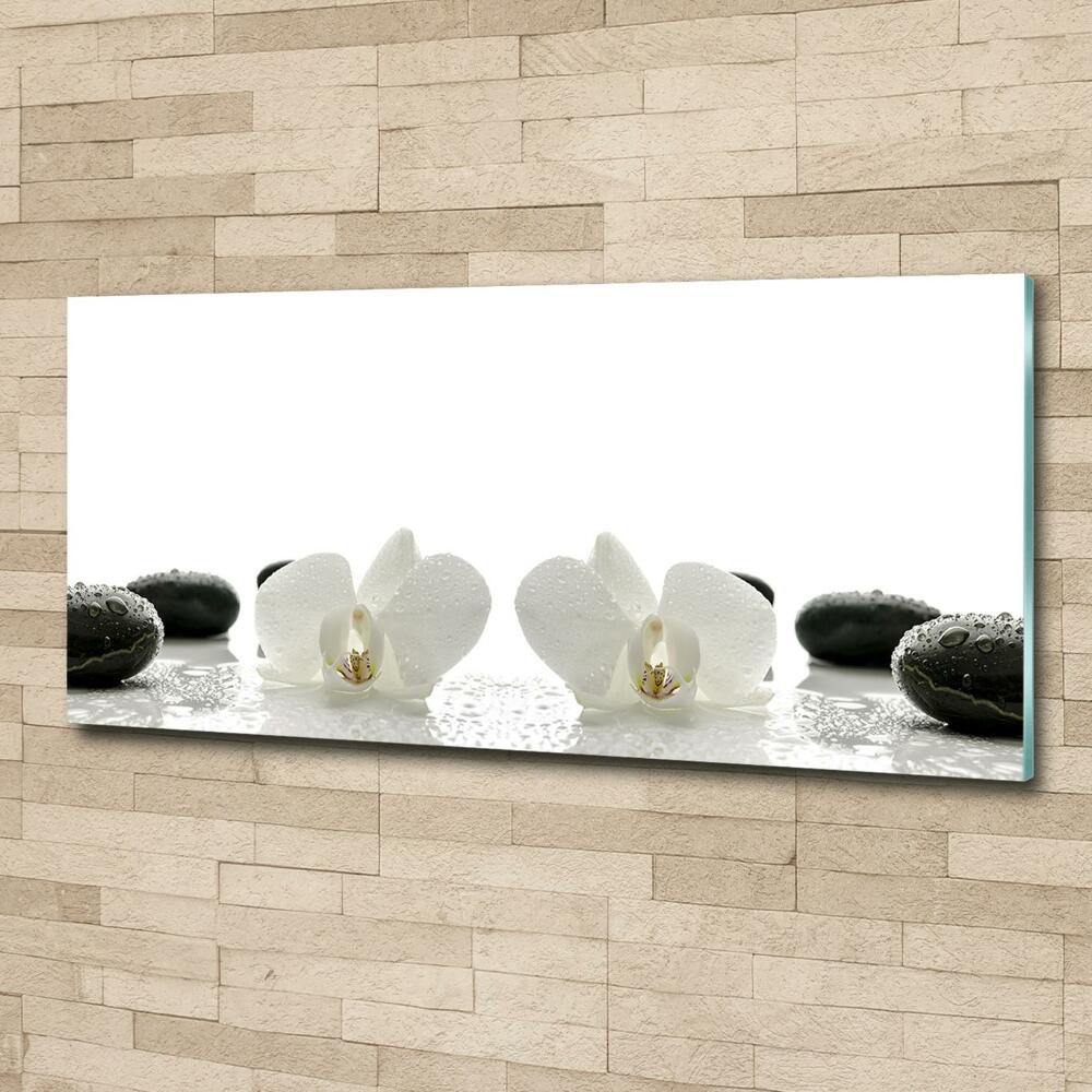 Foto obraz szkło hartowane Orchidea