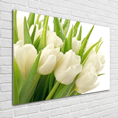 Foto obraz szkło hartowane Białe tulipany