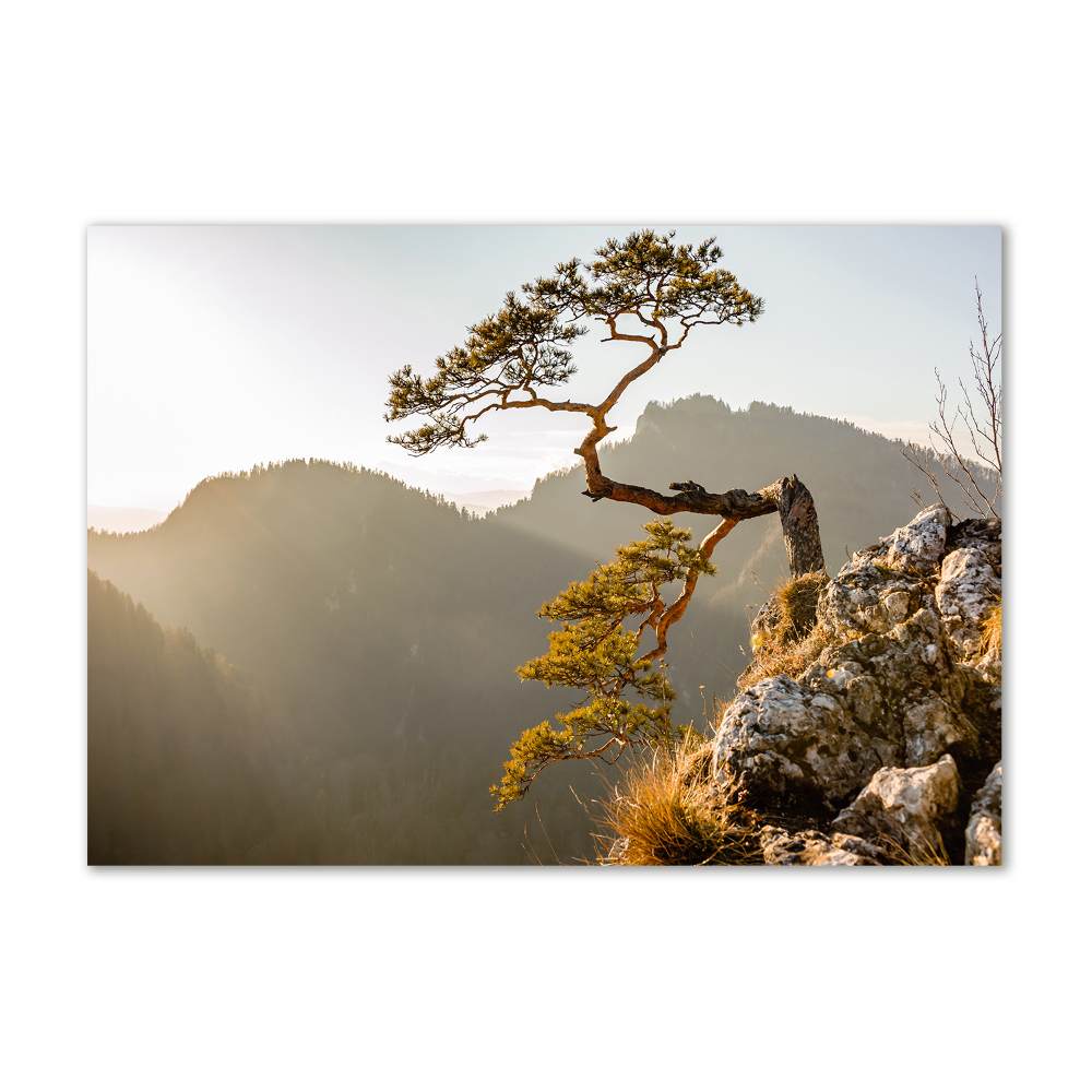 Foto obraz szklany Sokolica Pieniny