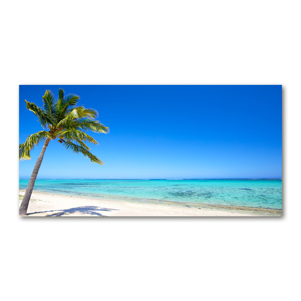 Foto obraz szklany Tropikalna plaża